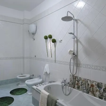 Pompea , Pompei E Scavi Scafati